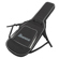 Ibanez IC420FM: Picture 10 thumbnail