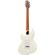 Ibanez ICHI00: Picture 2 thumbnail