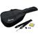 Ibanez IJD100S: Picture 4 thumbnail