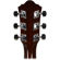 Ibanez IJV50: Picture 7 thumbnail