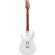 Ibanez LB1: Picture 2 thumbnail