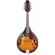 Ibanez M510E: Picture 1 thumbnail