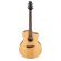 Ibanez PA230E: Picture 11 thumbnail