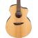 Ibanez PA230E: Picture 4 thumbnail