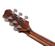 Ibanez PA230E: Picture 9 thumbnail