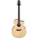 Ibanez PA300E: Picture 11 thumbnail