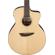 Ibanez PA300E: Picture 4 thumbnail