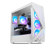 undefined undefined: Picture 1 regular