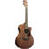 Ibanez Performance Series: Picture 5 thumbnail