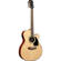 Ibanez PC15ECE: Picture 2 thumbnail