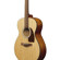 Ibanez PC50: Picture 6 thumbnail