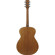 Ibanez PC50: Picture 2 thumbnail