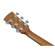 Ibanez PC50: Picture 9 thumbnail