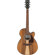 Ibanez PC50WSCE: Picture 1 thumbnail