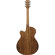 Ibanez PC50WSCE: Picture 2 thumbnail