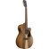 Ibanez PC50WSCE: Picture 5 thumbnail