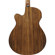 Ibanez PC50WSCE: Picture 7 thumbnail