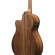 Ibanez PC50WSCE: Picture 9 thumbnail