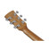 Ibanez PC50WSCE: Picture 11 thumbnail
