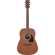 Ibanez PC54CE: Picture 1 thumbnail