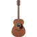 Ibanez PC54: Picture 1 thumbnail