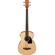 Ibanez Performance Series: Picture 1 thumbnail