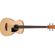 Ibanez Performance Series: Picture 2 thumbnail