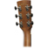 Ibanez Performance PF12MHCE: Picture 3 thumbnail