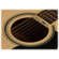 Ibanez PF1512: Picture 10 thumbnail