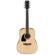 Ibanez PF15L: Picture 1 thumbnail