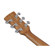 Ibanez PF50CE: Picture 9 thumbnail