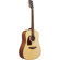 Ibanez PF50: Picture 3 thumbnail