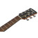 Ibanez PF50: Picture 8 thumbnail