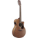 Ibanez PF54CE: Picture 3 thumbnail