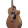 Ibanez PF54CE: Picture 6 thumbnail