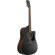 Ibanez PF54CE: Picture 5 thumbnail