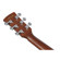 Ibanez PF54CE: Picture 11 thumbnail