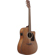Ibanez PF54: Picture 3 thumbnail