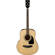 Ibanez PFT2: Picture 1 thumbnail