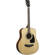 Ibanez PFT2: Picture 2 thumbnail