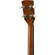 Ibanez PFT2: Picture 4 thumbnail