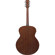 Ibanez PJ50E: Picture 2 thumbnail