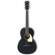 Ibanez PN14: Picture 1 thumbnail