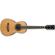 Ibanez PN1: Picture 1 thumbnail