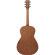 Ibanez PN50: Picture 2 thumbnail