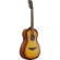 Ibanez PN50: Picture 3 thumbnail