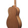 Ibanez PN50: Picture 7 thumbnail