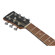 Ibanez PN50: Picture 8 thumbnail