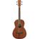 Ibanez PNB14E: Picture 1 thumbnail