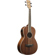 Ibanez PNB14E: Picture 2 thumbnail